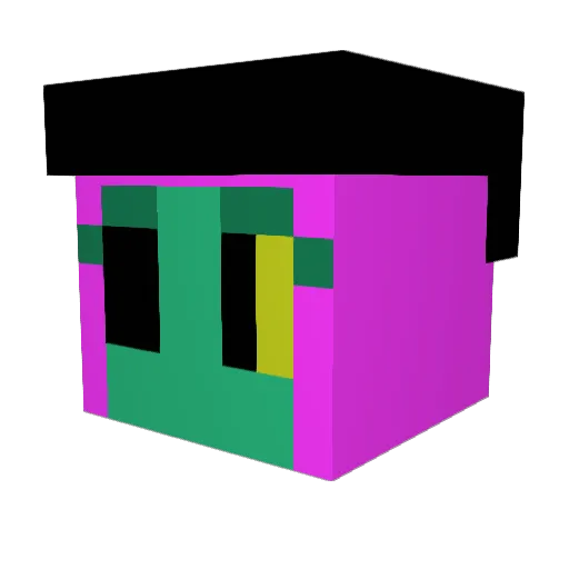 Wynaut9301 Minecraft avatar head, 3D render