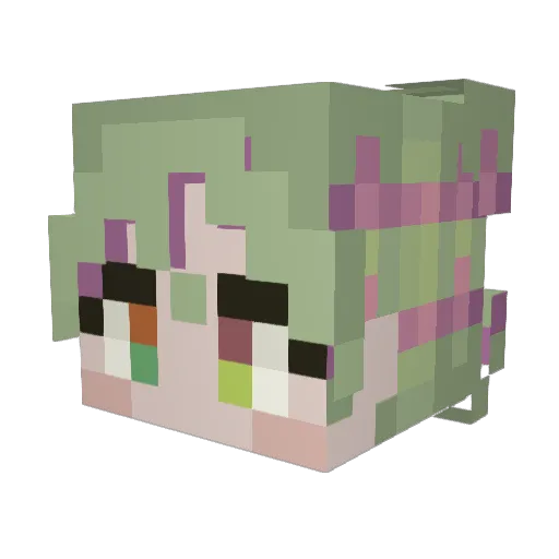 WynautExplain Minecraft avatar head, 3D render