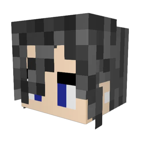 Wyndscare Minecraft avatar head, 3D render