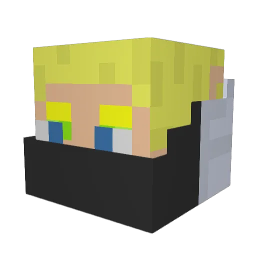 Wyndtalker Minecraft avatar head, 3D render