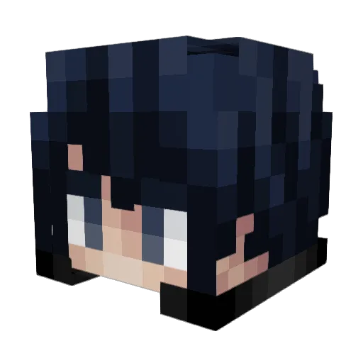 Wyne Minecraft avatar head, 3D render