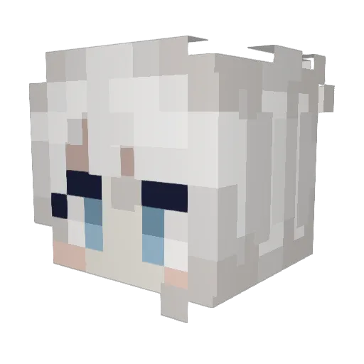 Wynfir1337 Minecraft avatar head, 3D render