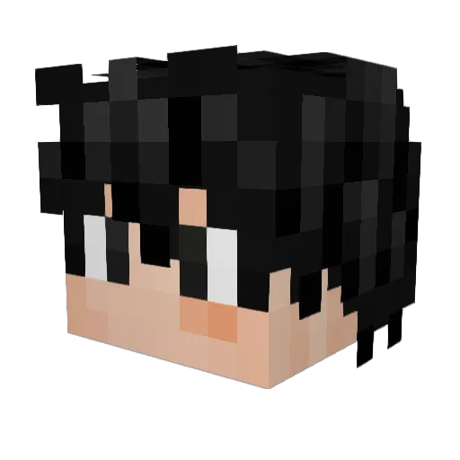 Wynixx Minecraft avatar head, 3D render