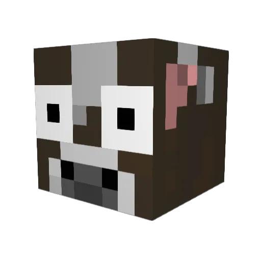 WynnSkin17 Minecraft avatar head, 3D render