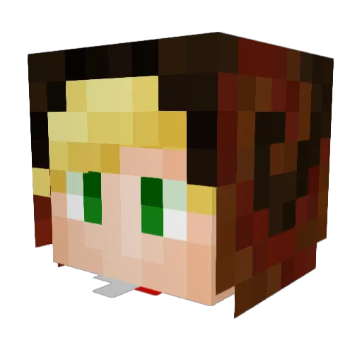 WynnSkin1 Minecraft avatar head, 3D render