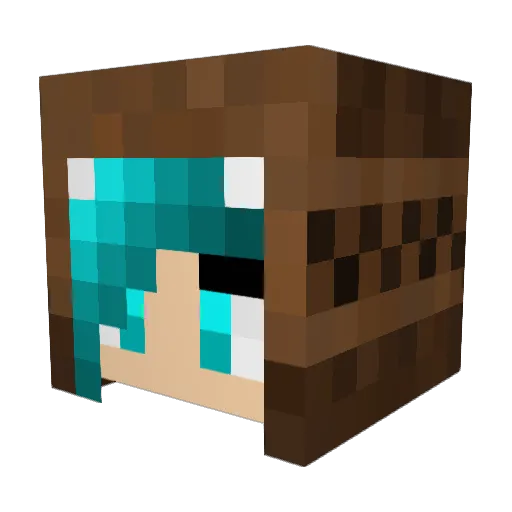 WynnSkin5 Minecraft avatar head, 3D render