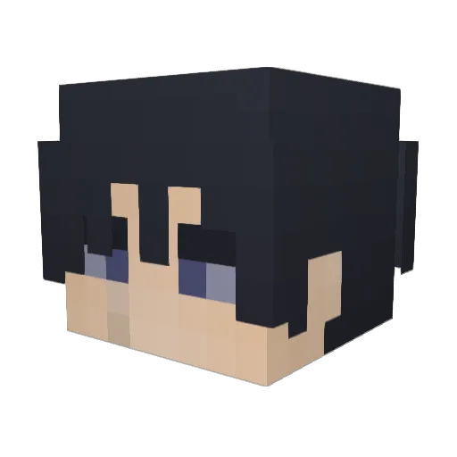 Wynner03 Minecraft avatar head, 3D render