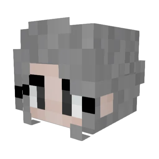 WynnterFae Minecraft avatar head, 3D render