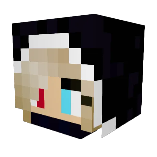 Wynoa Minecraft avatar head, 3D render