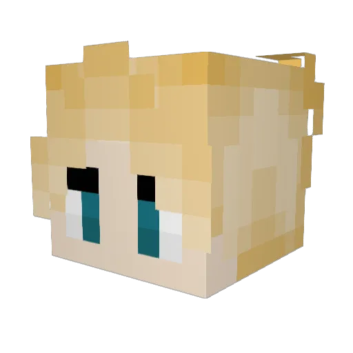 Wynter07 Minecraft avatar head, 3D render