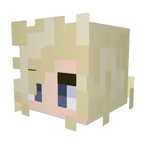 WynterBug2206 Minecraft avatar head, 3D render