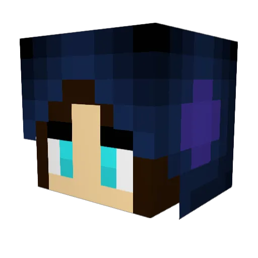 Wynter_Owl Minecraft avatar head, 3D render
