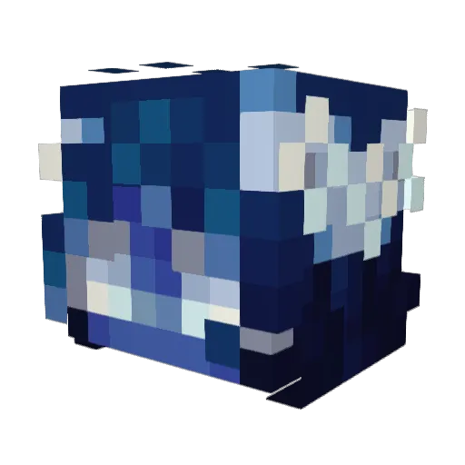 WyoFan40 Minecraft avatar head, 3D render