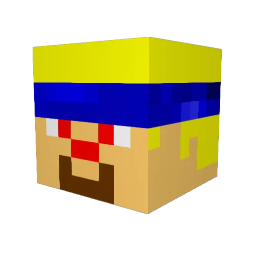 WyomingNinja Minecraft avatar head, 3D render