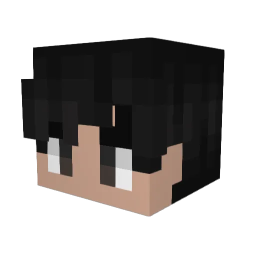 Wyon2702 Minecraft avatar head, 3D render
