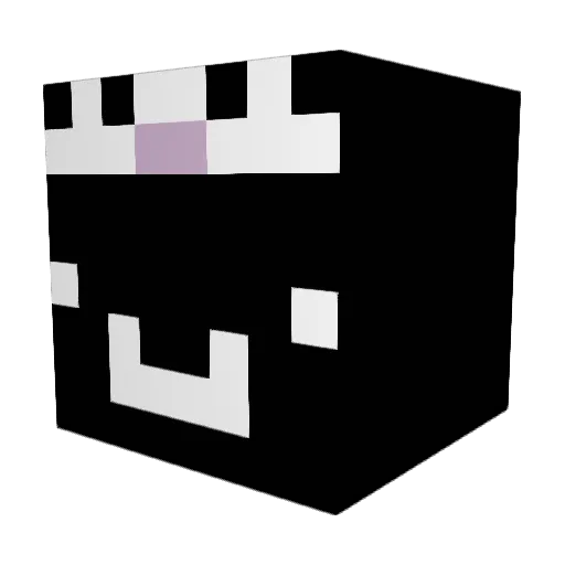 Wyourt Minecraft avatar head, 3D render