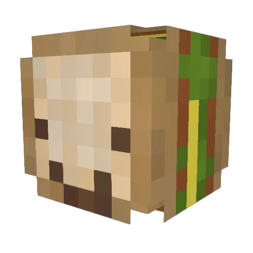 Wyriam Minecraft avatar head, 3D render