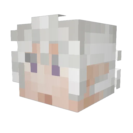 Wyrvun Minecraft avatar head, 3D render
