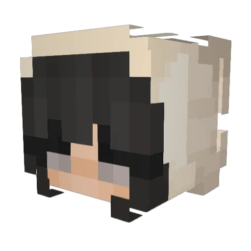 Wysocki_ Minecraft avatar head, 3D render