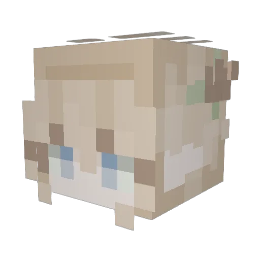 Wythe24 Minecraft avatar head, 3D render