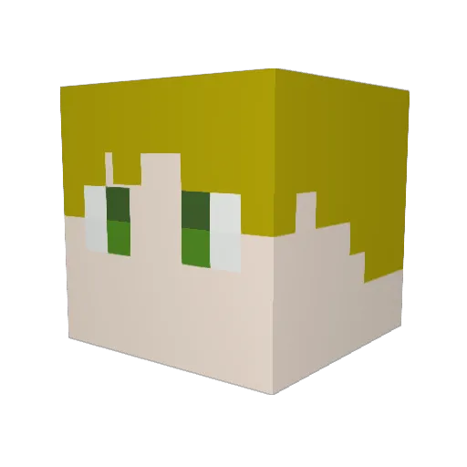 Wyvern9780 Minecraft avatar head, 3D render