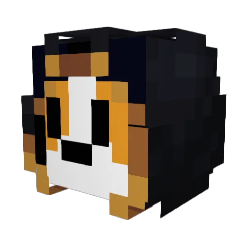 WyvernsTalon Minecraft avatar head, 3D render