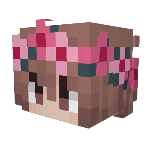 Wywy55 Minecraft avatar head, 3D render