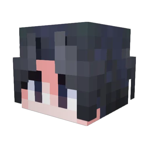 Wyy3258 Minecraft avatar head, 3D render