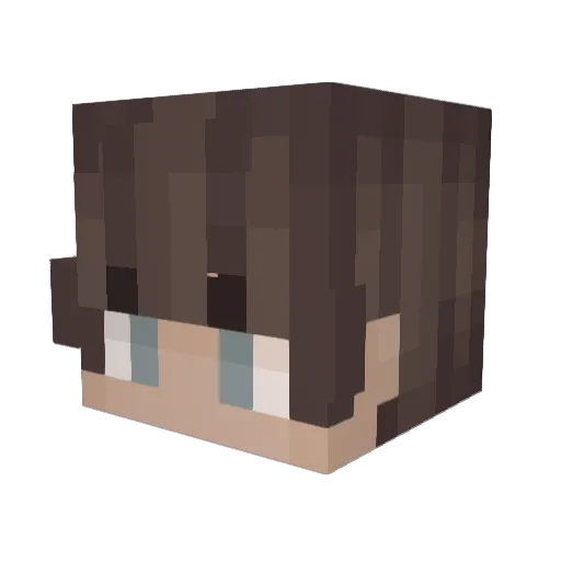 X00000X Minecraft avatar head, 3D render
