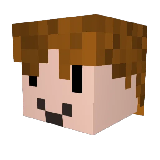 X09sv1 Minecraft avatar head, 3D render