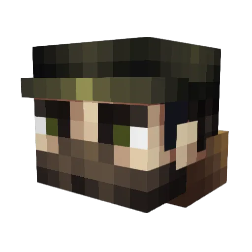 X12Turtle Minecraft avatar head, 3D render