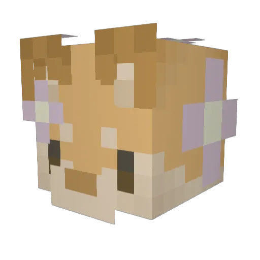 X17Star Minecraft avatar head, 3D render