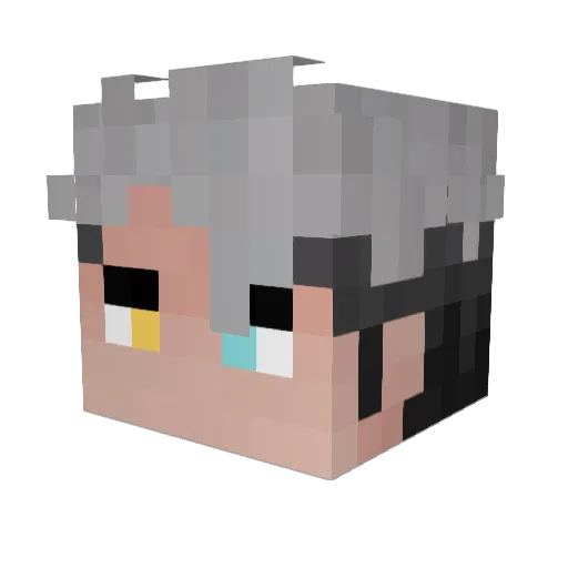 X1RESS Minecraft avatar head, 3D render