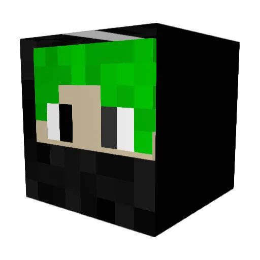 X1Turtle Minecraft avatar head, 3D render