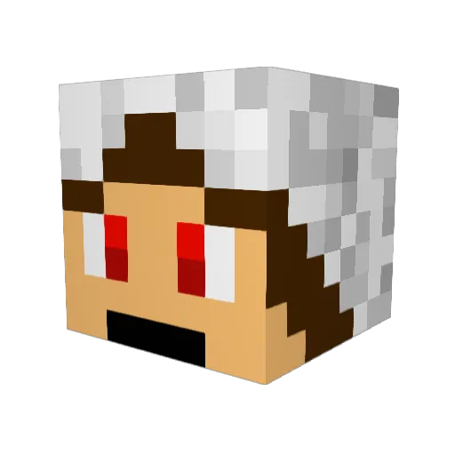 X1_Locke Minecraft avatar head, 3D render
