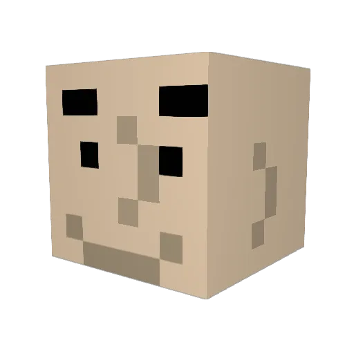 X1bb Minecraft avatar head, 3D render