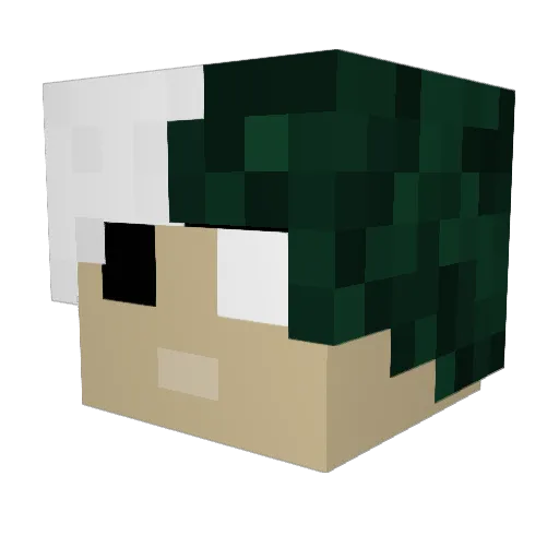 X2934 Minecraft avatar head, 3D render