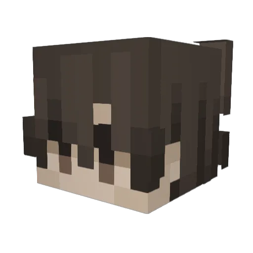 X31R0 Minecraft avatar head, 3D render
