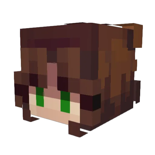 X3LittleMuda63 Minecraft avatar head, 3D render