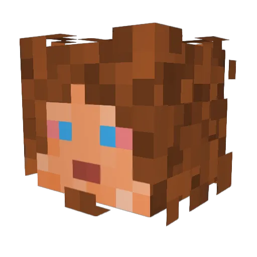 X3ZN0_X4 Minecraft avatar head, 3D render