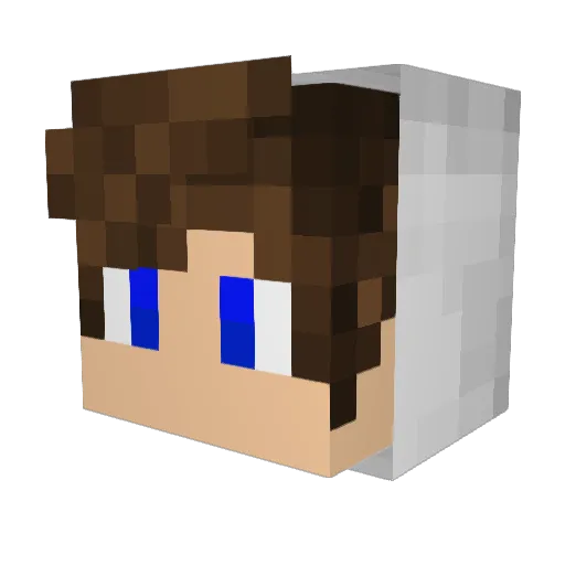 X3_Recon Minecraft avatar head, 3D render