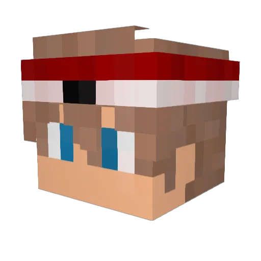 X3n_n0S Minecraft avatar head, 3D render