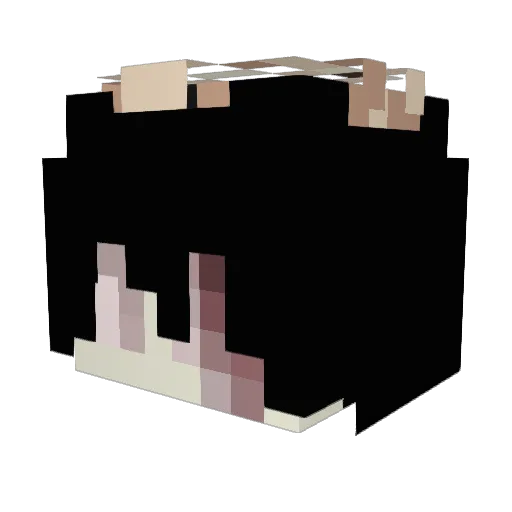 X4e_ Minecraft avatar head, 3D render