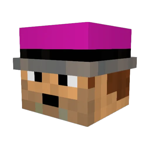 X4nennN Minecraft avatar head, 3D render