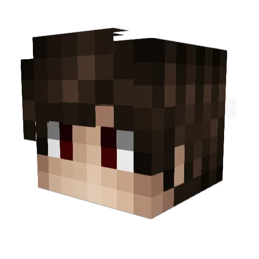 X4ry Minecraft avatar head, 3D render
