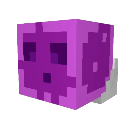 XANTH0 Minecraft avatar head, 3D render