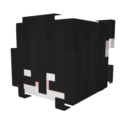 XAROS_X Minecraft avatar head, 3D render