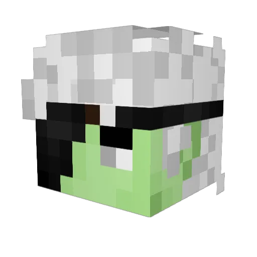 XAX_ReaperYT Minecraft avatar head, 3D render
