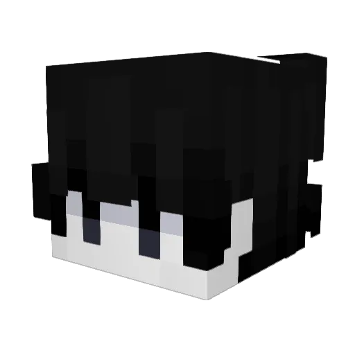 XAdonis1 Minecraft avatar head, 3D render