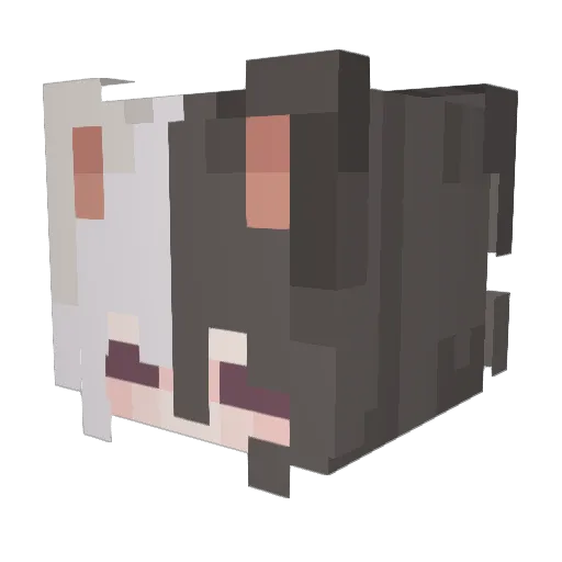 XAniXaniX Minecraft avatar head, 3D render